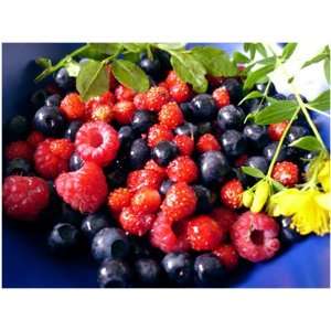 Fruit Dip Chip Set Three Berry Mix:  Grocery & Gourmet Food