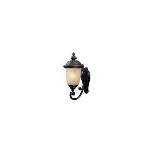  Carriage House ES Outdoor Wall Mount 86524MOOB: Home 