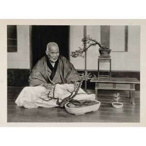  1930 Japanese Bonsai Dwarf Tree Man Photogravure NICE 