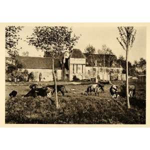  1927 Chartreuse du Liget Monastery Cows Field France 