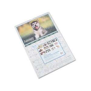   Animals 2009 Monthly Wall Calendar, Large Puppies: Office Products