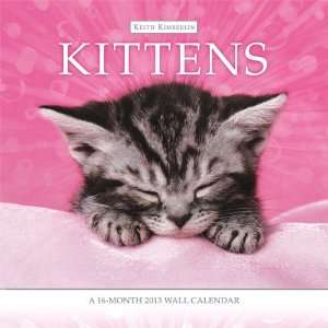  Keith Kimberlin Kittens 2013 Wall Calendar Office 