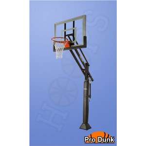  Basketball System   Hoops Pro Dunk Bronze Acrylic Sports 