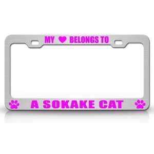  MY HEART BELONGS TO A SOKAKE Cat Pet Auto License Plate 