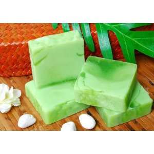  Organic Soap Natural Handmade From Thailand / Green Apple 