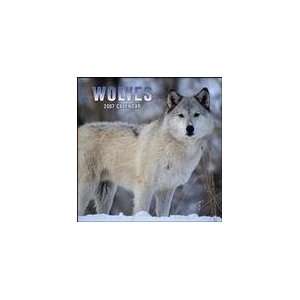  Wolves 2007 Calendar (Photographs By Denver Bryan) Office 