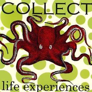  Collect Life Experiences Canvas Reproduction
