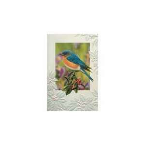   Greeting Cards Pack 6 Highest Quality Popular: Arts, Crafts & Sewing