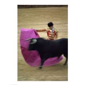  A matador and a bull at a Bullfight, Spain Poster (18.00 x 