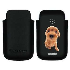  Poodle Puppy on BlackBerry Leather Pocket Case 