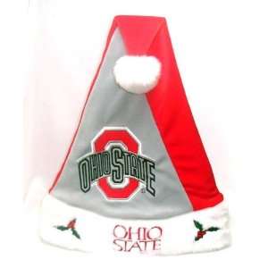    Ohio State Buckeyes Colorblock Santa Hat: Sports & Outdoors