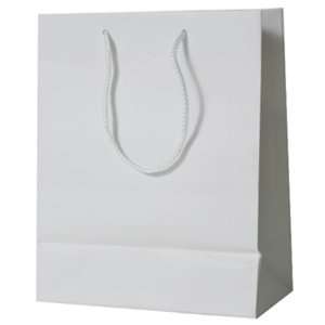   Large (10 x 13 x 5) Matte Gift Bag   100 bags per box