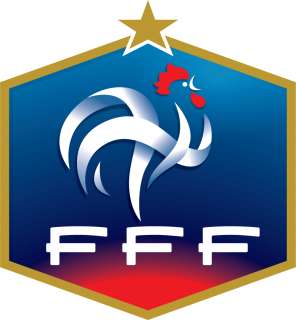 FFF France National Team Soccer Football Sticker 5 x 5  