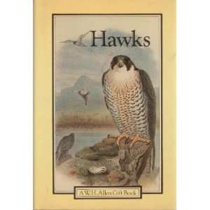  HAWKS: A WH Allen Gift Book: Lynn Hughes: Books