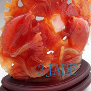 Carnelian/Red Agate Lotus Koi Fish Statue / Sculpture / Carving  