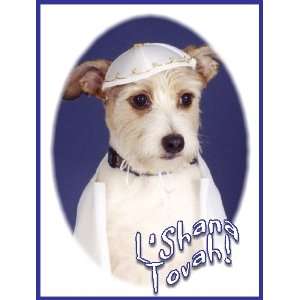 Pet Star Jewish New Year Cards   Jack Russell Pet Star Photography 