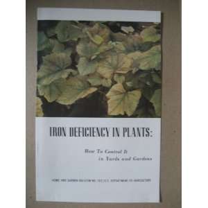  Iron deficiency in plants How to control it in yards and 