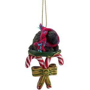 Porcupine Candy Cane Christmas Ornament:  Home & Kitchen