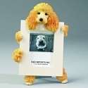 POODLE (APRICOT) DOG PICTURE FRAME  