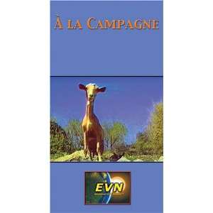  À la Campagne (French) [VHS] Movies & TV