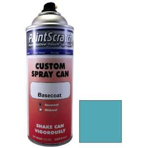  12.5 Oz. Spray Can of Marina Blue Poly Touch Up Paint for 