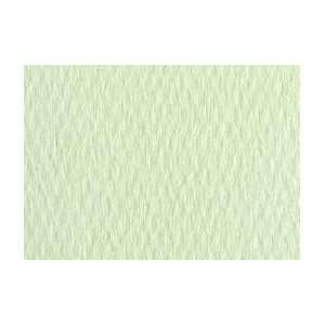  Canson Mi Teintes Pastel Paper   10 Pack 19x25   Lime 100 