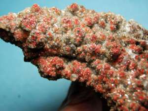 Rare Red Botryoidal Calcite Cluster, Madrono CA537  