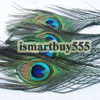 50 Pcs FEATHER PEACOCK TAILS 10 12 Tail Feathers Deco  