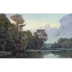  Wary of the Weather Florida Marsh Giclee Print by Charles 