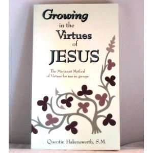   Method of Virtues for Use in Groups S. M. Quentin Hakenewerth Books