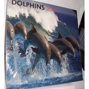  2012 12 Month Wall Calendar   Dolphins 