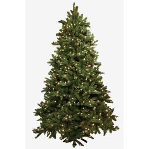  Tall Cranford Slim Artificial Prelit Christmas Tree: Home & Kitchen