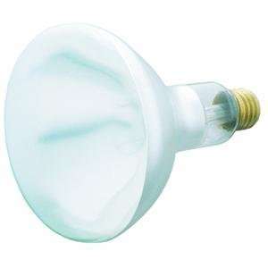  Westinghouse Lighting 3916 Heat And Brooder Bulb