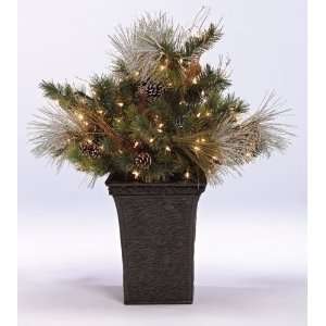  3 Pre Lit Foyer Pine Potted Artificial Christmas Tree 