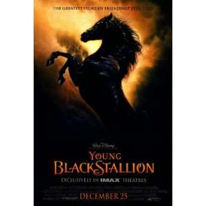  Young Black Stallion Movie Poster (27 x 40 Inches   69cm x 