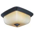   10 inch Square 5 Inch Height 2 Light Square Glass Ceiling Fixture, Oil