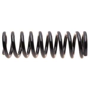 Raybestos 585 1460 Professional Grade Coil Spring Set 