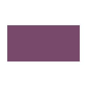  Reeves Snazaroo Face Paint 18ml Purple 111 9888; 2 Items 