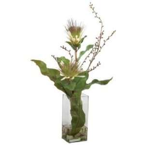  Protea in Glass Vase