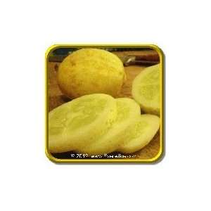  1 Lb   Slicing Cucumber Seeds   Lemon Bulk Vegetable 