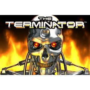  The Terminator [Online Game Code] Video Games
