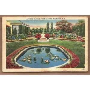   Postcard Lilly Pond Eastman House Rochester New York 