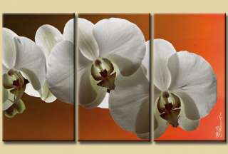 Orchidee Bild auf Leinwand / Modern / Wandbild / Bilder  