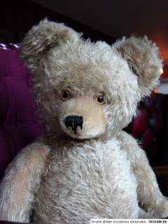 Alter Diem Teddy Teddybär Bär old bear ours antique 60cm  