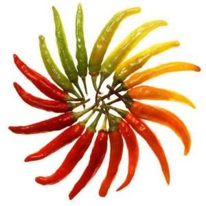  25 Heirloom Red Hot Chili Pepper seeds 