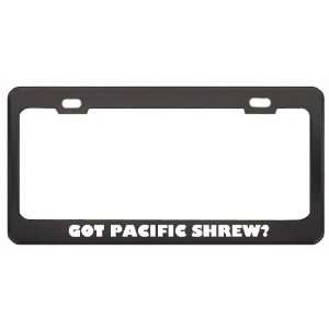 Got Pacific Shrew? Animals Pets Black Metal License Plate Frame Holder 