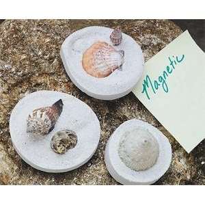  S&S Worldwide Fossil Shell Magnets Craft Kit (Makes 24 