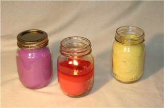 16 OUNCE SOY CANDLE   YOU CHOOSE SCENT  