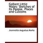 NEW Gallant Little Wales Sketches of Its People, Pl