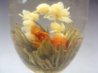 360 Blooming Flowering Flower Tea   
